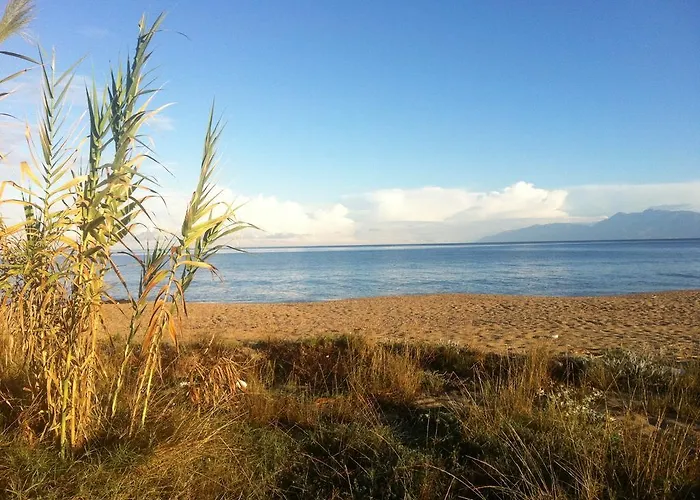 Apartman Liberty's *