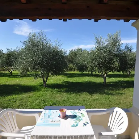 Liberty's * Paralía Almirú