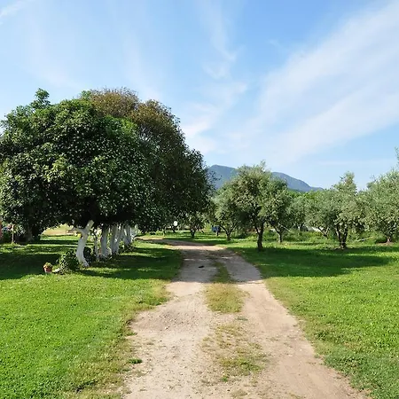 Liberty's 아파트 *